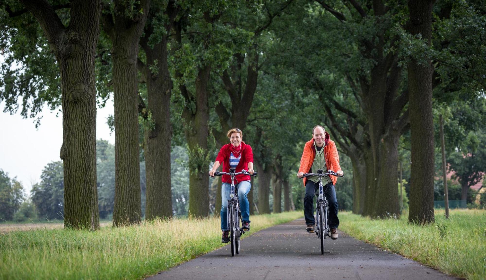 Ferienpark Templin Direkt Neben Der Naturtherme Luaran gambar