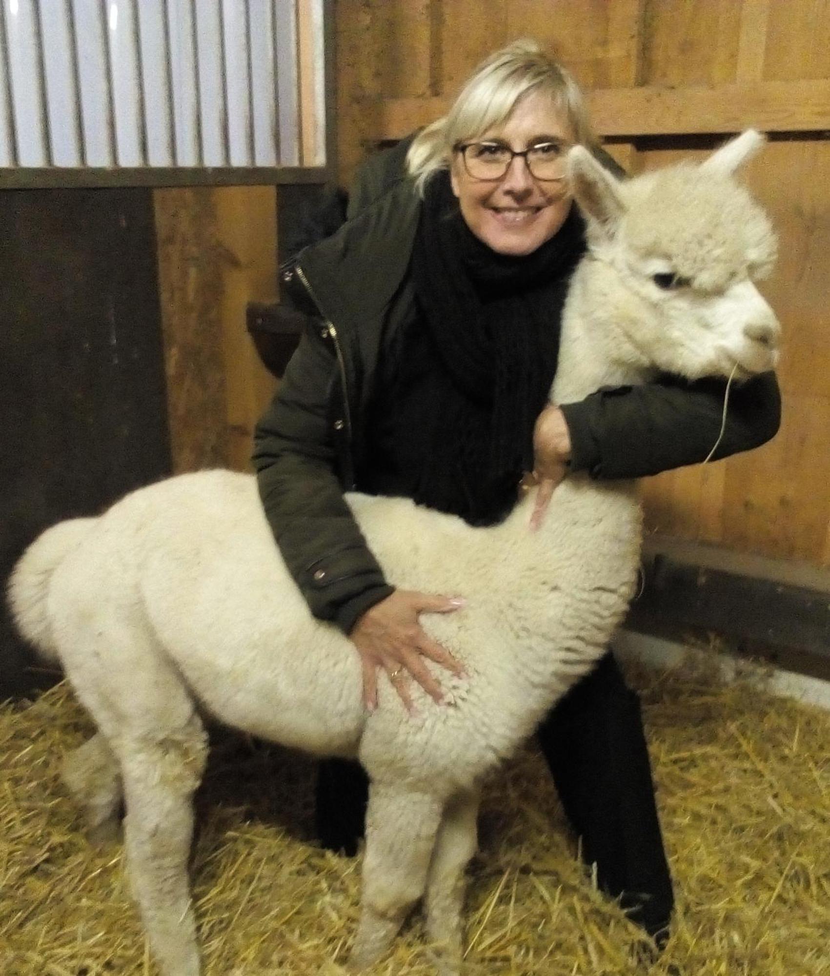 Ferienpark Templin Direkt Neben Der Naturtherme Luaran gambar